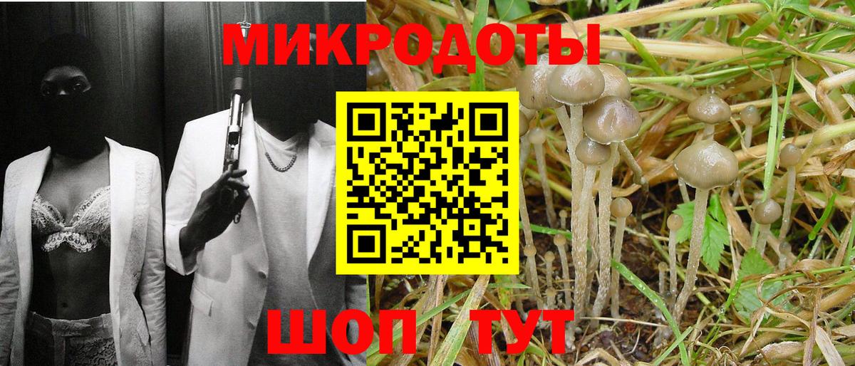 Галлюциногенные грибы Cubensis Екатеринбург